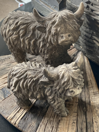 Hooglander