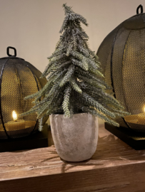 Klein tafel kerstboompje in pot