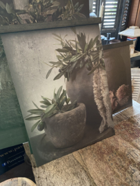 Canvas Olijf in pot A3