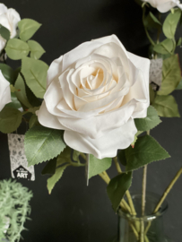 Roos Dijon Cream