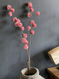 Pompom Roze/Pink