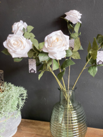 Roos Dijon Cream