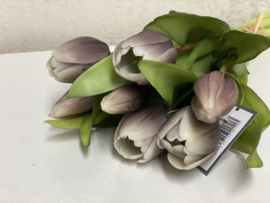 Tulp Purpleblack 31cm