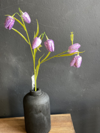 Kievitsbloem Purple