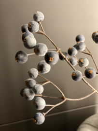 Tak Kinija bes deep purple