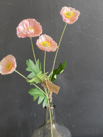 Veldbloem Poppy Licht Roze