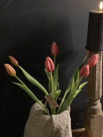 Tulpen Pink bosje 7 bloemen in knop