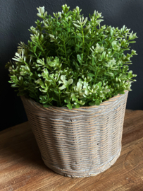 Rietlook plantenpot Rond