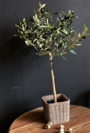 Rietlook plantenpot vierkant