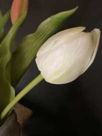 Real Touch Tulp Mix Pink 31cm