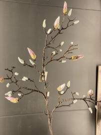 Magnolia tak Roze