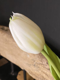 Real Touch Tulp Wit 3 30cm
