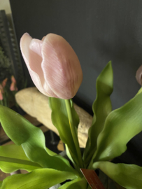 Real Touch Tulp Mix Mauve 31cm