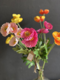 Veldbloem Poppy Pink