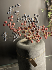 Tak Kinija bes deep purple