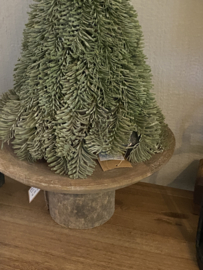 Nobilis boompje