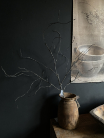 Grote stoere kale tak