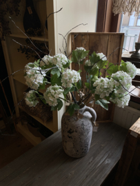 Grote stoere kale tak