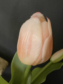 Tulp Roze 5 31cm