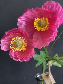 Veldbloem Poppy Pink