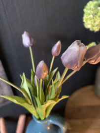 Tulp Mauve