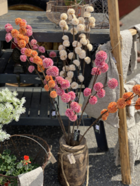 Pompom Roze/Pink
