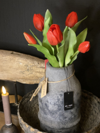 Tulp Rood 5 31cm