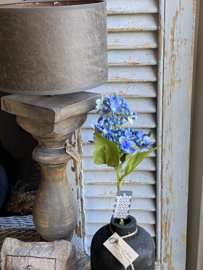 Hortensia takje blauw