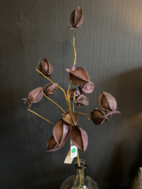 Lampion bloem Deep Purple Sale