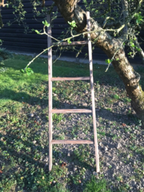 Houten ladder 150