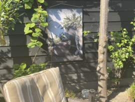 Buiten/binnen Canvas olijf in pot