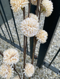 PomPom creme