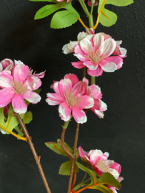 Bloesemtak Roze XL