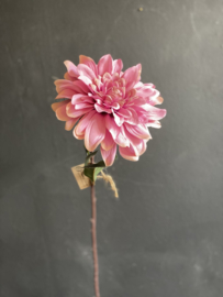 Chrysant Mauve