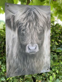 Tuinposter stoere Hooglander Jong