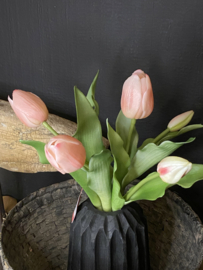 Tulp Roze 5 31cm