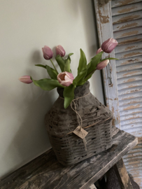 Tulpenbosje Mauve