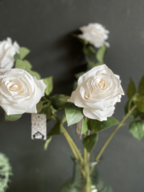 Roos Dijon Cream