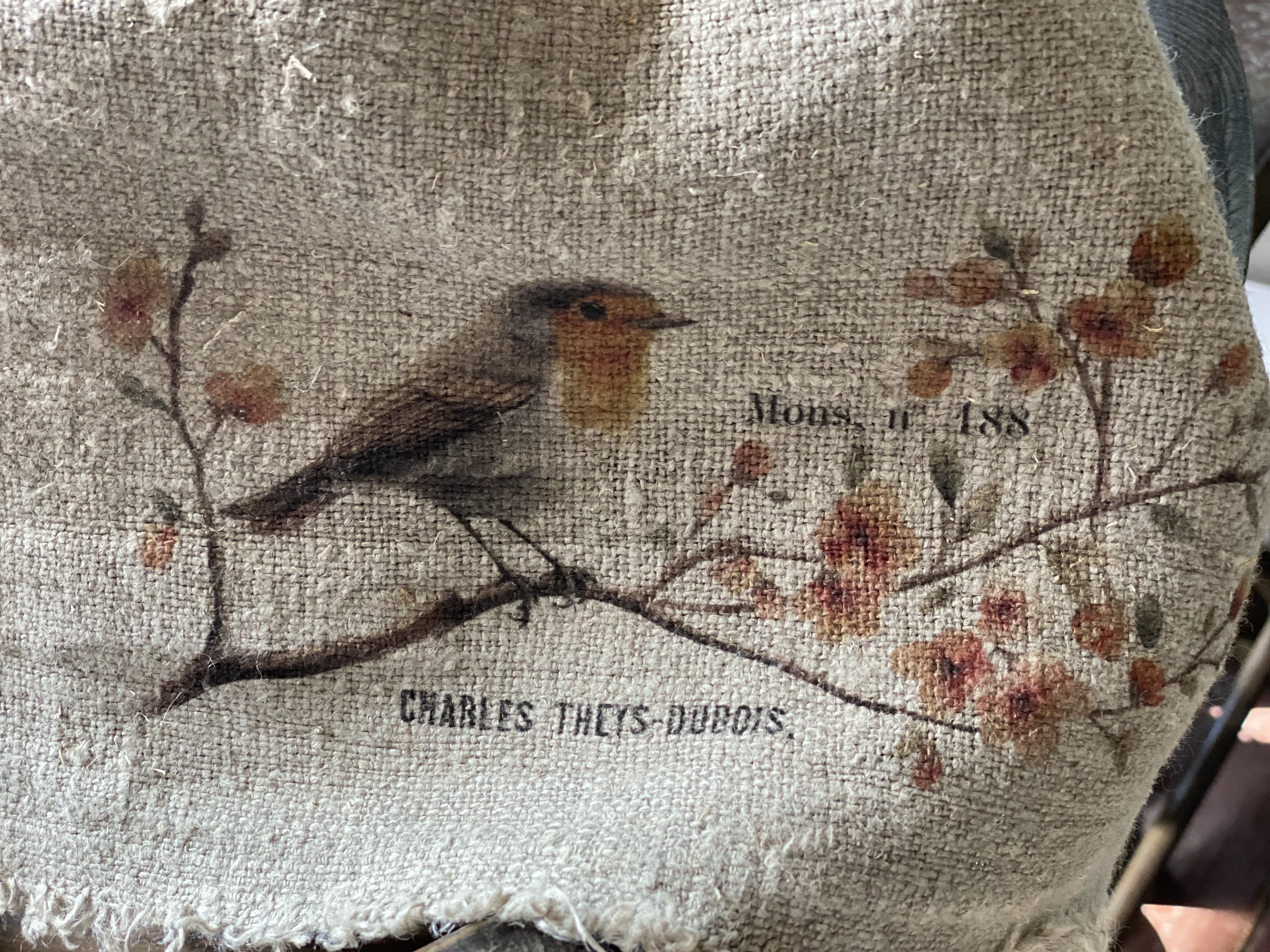 Shabby Roodborstje  kleur