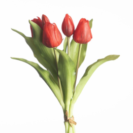 Tulp Rood 5 31cm