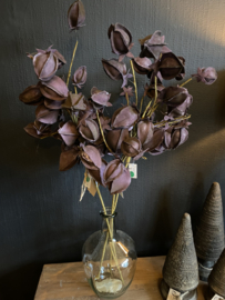 Lampion bloem Deep Purple Sale