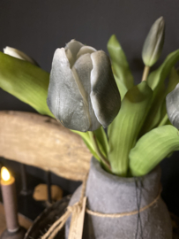 Tulp Black 7 30cm