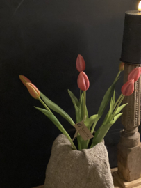 Tulpen Pink bosje 7 bloemen in knop