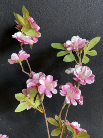 Bloesemtak Roze XL