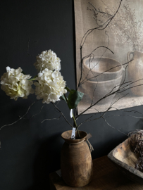 Grote stoere kale tak