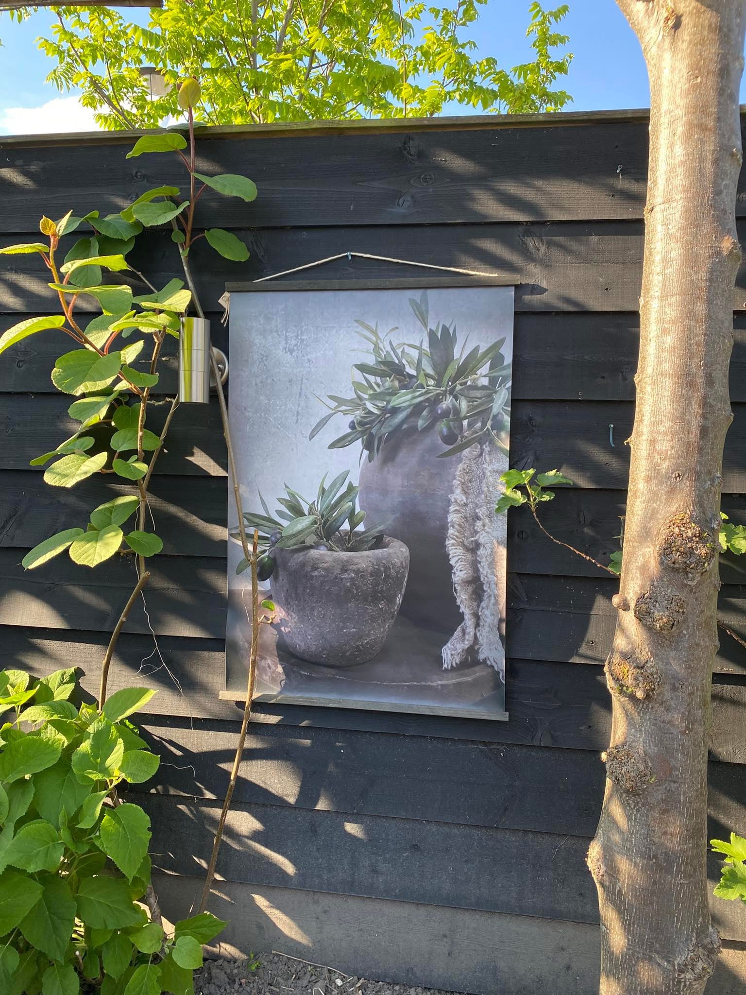 Buiten/binnen Canvas olijf in pot