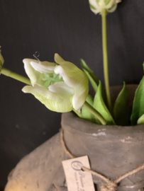 Real Touch Tulp Parrot wit 5 40cm