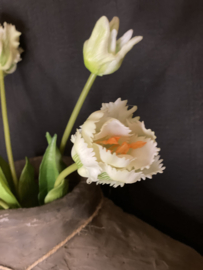 Real Touch Tulp Parrot wit 5 40cm