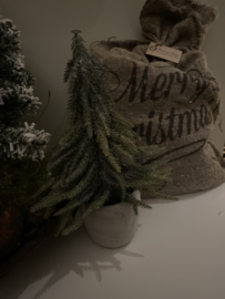 Klein tafel kerstboompje in pot