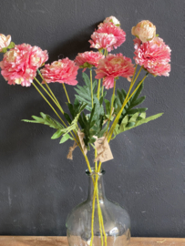 Zinnia Pink